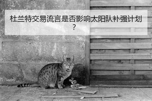杜兰特交易流言是否影响太阳队补强计划？