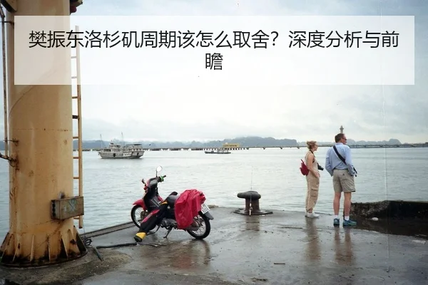 樊振东洛杉矶周期该怎么取舍？深度分析与前瞻